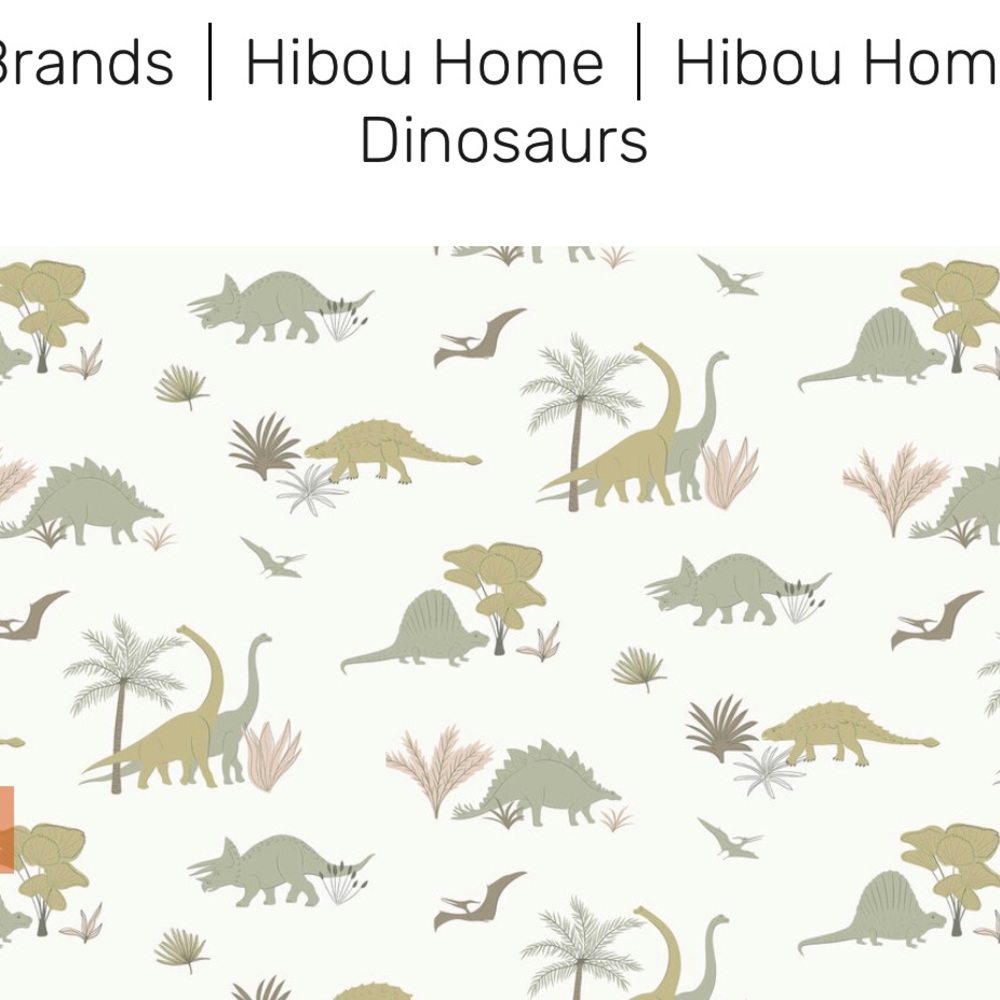 Hibou Home Dinosaur wall paper non woven wall paper decoration maximalist